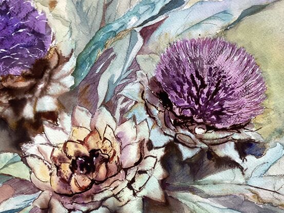 All flowers are beautiful, but this Artichoke as a vegetable and flower was a fascinating study.  I captured some of its qualities with paint, then more of it's  structure with sepia coloured ink.





