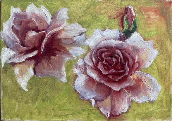 Two pink roses on a greenish background