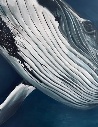 Humpback whale