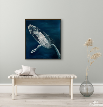 Humpback whale