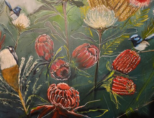 Australian native flowers and birds,  blue wrens,  nature, waratah birds and flowers 