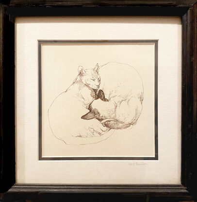 Fine pen and black ink drawing on paper, of two loving cats, drawn from life. They are curled around each other, sleeping. Chang - half Siamese, half Burmese. Chinky, half Siamese, half Abyssinian.