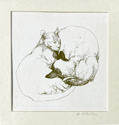 Fine pen and black ink drawing on paper, of two loving cats, drawn from life. They are curled around each other, sleeping. Chang - half Siamese, half Burmese. Chinky, half Siamese, half Abyssinian.