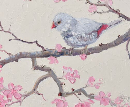 A thickly textured oil painting of a Silver Diamond Firetail Finch perched on a branch of pink Japanese Cherry Blossom. The small bird is a pale silver colour with red on its tail.