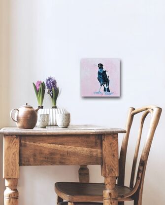 Palette knife oil painting of a black and white Australian native Magpie. The background is painted a pale pink blush colour.