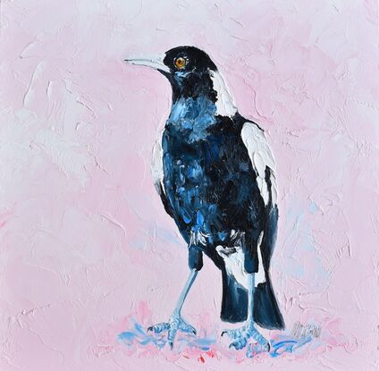 Palette knife oil painting of a black and white Australian native Magpie. The background is painted a pale pink blush colour.