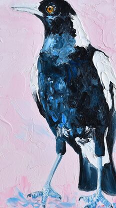 Palette knife oil painting of a black and white Australian native Magpie. The background is painted a pale pink blush colour.