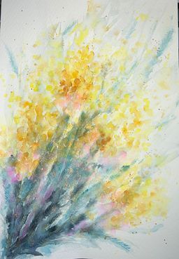 Golden wattle in watercolor painted in a loose, impressionistic style. 