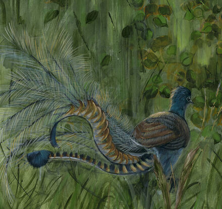 In this original painting by world renowned Australian artist Priya Gore; one male and one female Alberts lyre birds are painted against the backdrop of Queensland rainforest.