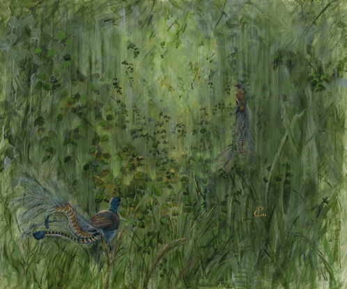 In this original painting by world renowned Australian artist Priya Gore; one male and one female Alberts lyre birds are painted against the backdrop of Queensland rainforest.