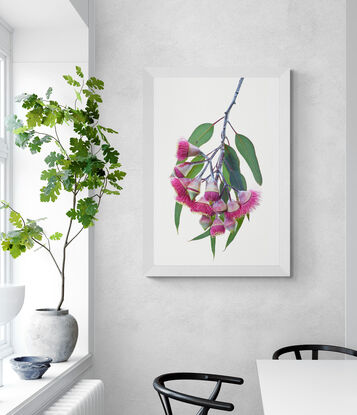 Pink Eucalyptus flowers on a black background
Gungurru flowers - Gum blossoms artwork - Australian floral wall art - Still life flower photography print by Nadia Culph