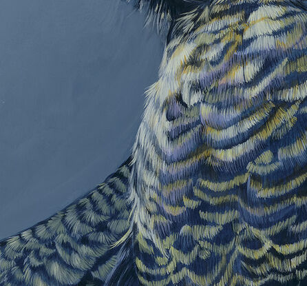 This is an original acrylic painting of female red tailed black cockatoo portrait. The painting is extremely detailed and realistic with enhanced reflections on the feathers and beautiful glorious crest. Also special attention is paid to the eye and the beak of the bird. The background of the painting is vignetted for a special portraiture classical effect and is painted elegantly with Paynes grey colour.