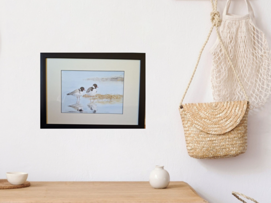 Two Hooded Plovers standing in the waters edge at the beach 