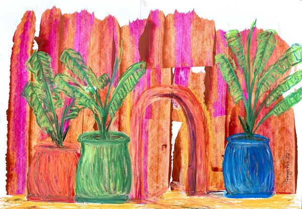 Large coloured earthenware pots  with magnificent palms  create a  statement entrance leading through a door into a mysterious  courtyard . Colours of Pinks, blues,  oranges and lime greens hold the lush green palms  giving a  look of grandeur  and opulence  against the terracotta  well cared for entrance.