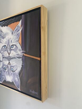 White Persian cat sitting with that typical cat attitude not realising his reflection on the glass table that he is sitting is giving a double gaze. Looks like two white Persian cats but is just one cute fluffy cat