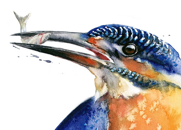 Like a vivid brushstroke, the kingfisher cuts through tranquil waters with precision.