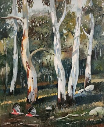 An impressionistic view of the Australian Landscape. A gum tree forest bathed in a soft light..