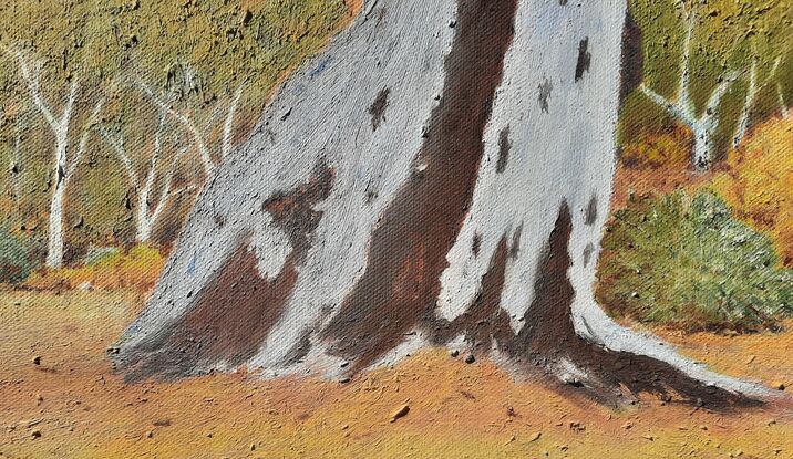 Brachina Gorge in the Flinders Ranges,  South Australia