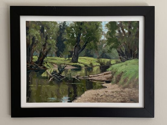 Trees along the banks of a river.