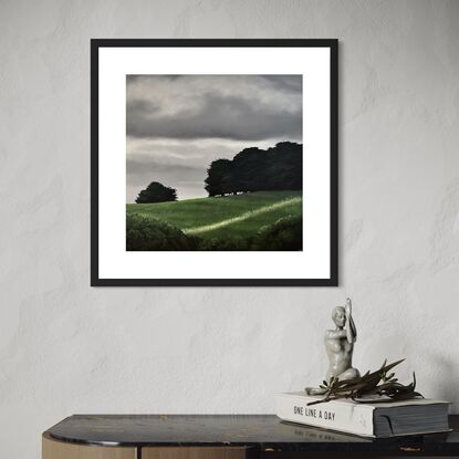 Green farmland hill with pine trees and a fence under a grey cloudy sky.