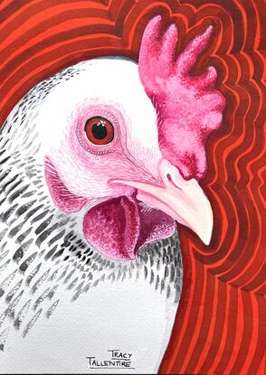 White and black speckled rooster head on orange pop background