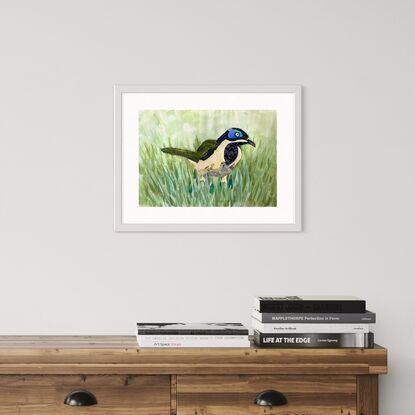 Collage honeyeater bird on green grass background