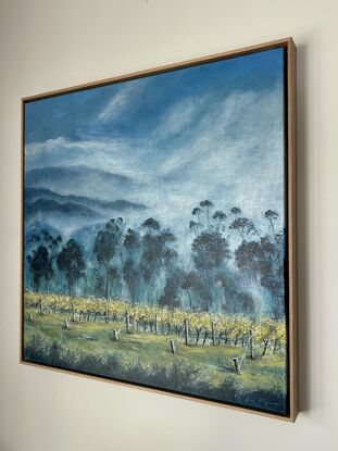 Calming misty mornings in the valley,  Vineyards in the Yarra Valley. Melbourne's Wine growing region landscapes.