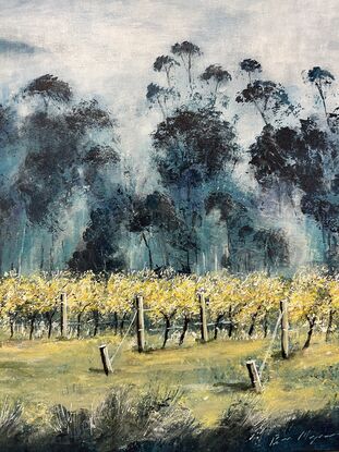 Calming misty mornings in the valley,  Vineyards in the Yarra Valley. Melbourne's Wine growing region landscapes.