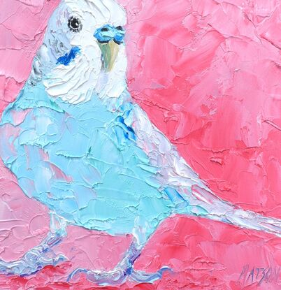 A thickly textured oil painting of a colourful budgerigar bird with bright blue and white feathers. The background is a bright textured pink, which contrasts nicely with the vibrant colour of the bird.