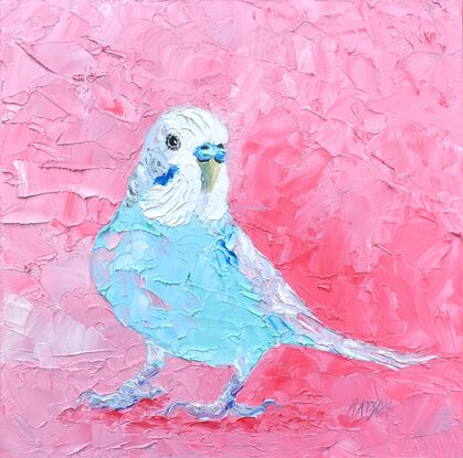 A thickly textured oil painting of a colourful budgerigar bird with bright blue and white feathers. The background is a bright textured pink, which contrasts nicely with the vibrant colour of the bird.