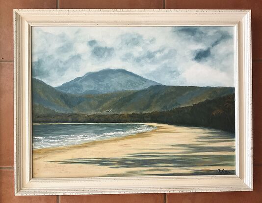 Four Mile Beach Far North Queensland Port Douglas with mountains in background and a lone seagull in the sky