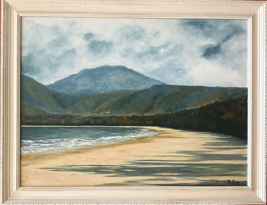 Four Mile Beach Far North Queensland Port Douglas with mountains in background and a lone seagull in the sky