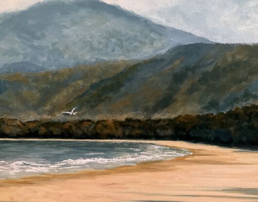 Four Mile Beach Far North Queensland Port Douglas with mountains in background and a lone seagull in the sky