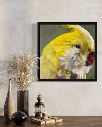 Yellow Cockatiel/parrot