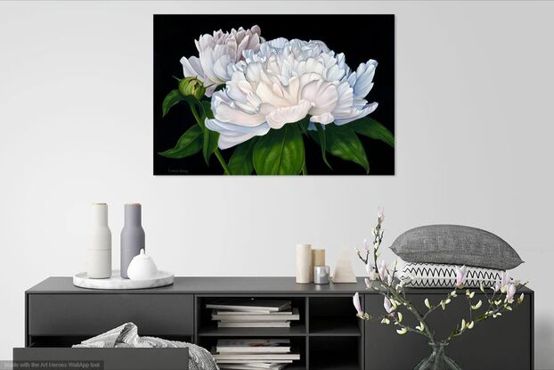 Two white Peonies on a black background