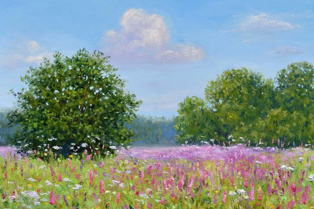 Landscape painting with a field of blooming wildflowers under the warm, blue summer sky