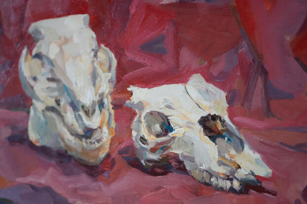 Still Life with two animal skulls