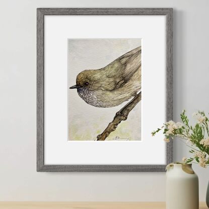 A small brown bird with tinges of green, and reddish eyes, sits on a single branch