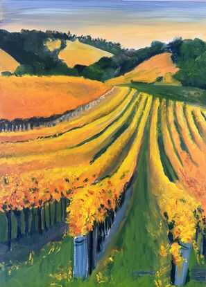 An Autumn scene of a vineyard that plunges downhill and up again with hills in the background.