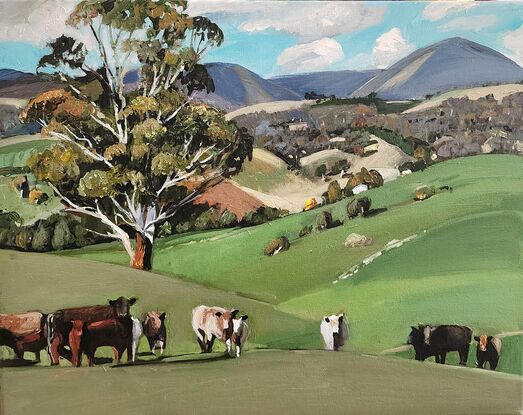 Rural Australian Landscape depicting cattle in the foreground  and rolling hills in the background.