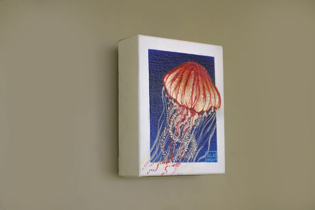 A vibrant acrylic painting of a jellyfish. The jellyfish has a warm, orange and red bell and delicate tentacles in white and pink. It is set against a deep blue background, creating a striking contrast that makes the jellyfish appear to float off the canvas. The artist's signature, "Silas Ingles," is visible in the bottom right corner.