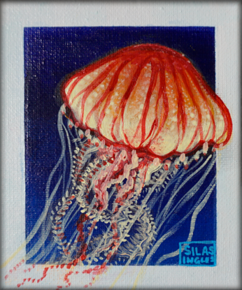 A vibrant acrylic painting of a jellyfish. The jellyfish has a warm, orange and red bell and delicate tentacles in white and pink. It is set against a deep blue background, creating a striking contrast that makes the jellyfish appear to float off the canvas. The artist's signature, "Silas Ingles," is visible in the bottom right corner.