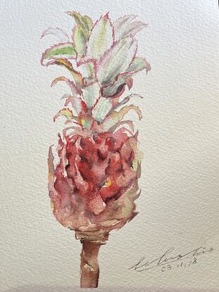 Red Watercolor pineapple blossom, vibrant colors