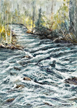 Rapid filled river flowing in woods