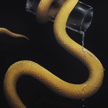 A small yellow snake on a black background, holding a glass.