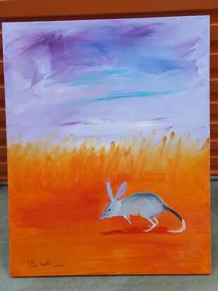 Bilby hopping through spinefex grassland.