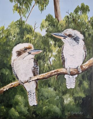 Two iconic kookaburras in the bush