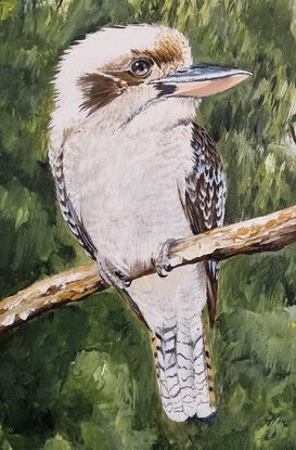 Two iconic kookaburras in the bush