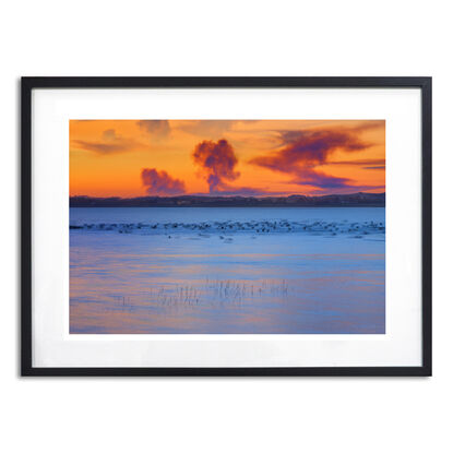 Reflections on Lake Elizabeth in the Otways