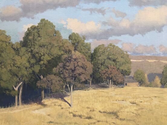 Hills and paddocks in the Megalong Valley, Blue Mountains, NSW, Australia.